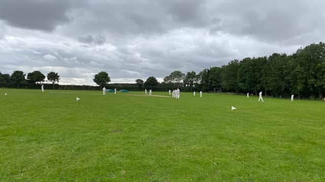 Cricket players in white uniforms on a lush green field under a cloudy sky, surrounded by trees.