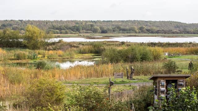 RSPB Dearne Valley - Old Moor - Nature Reserves in wombwell