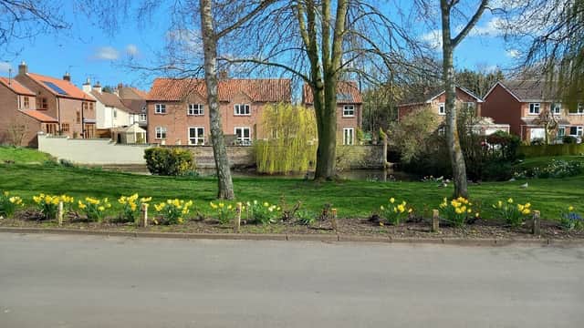 Bus Stop at Little Driffield York Road - Bus Stops in great driffield
