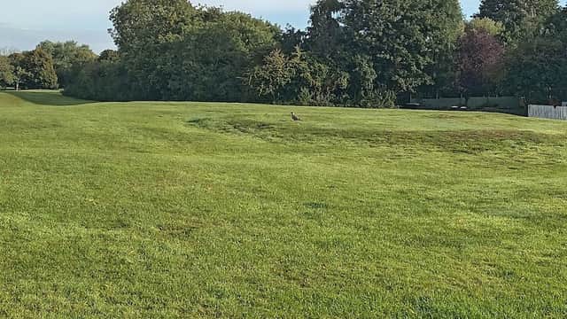 Site of a Medieval Windmill - Historic Site in thornaby