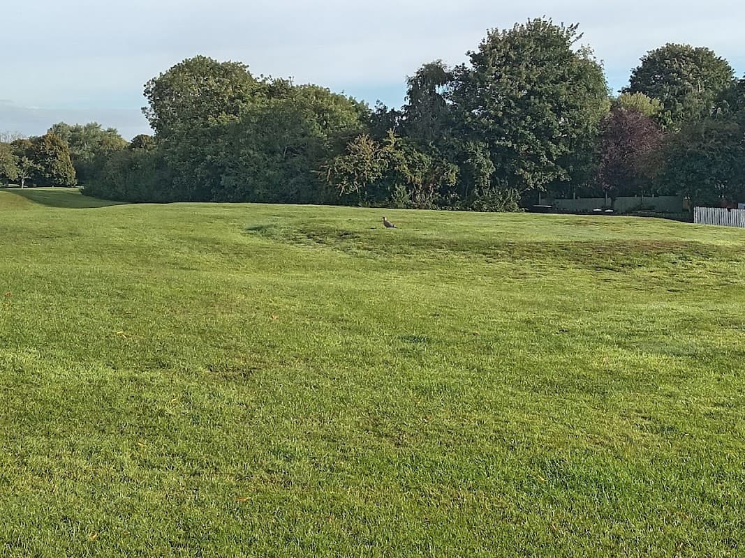 Site of a Medieval Windmill