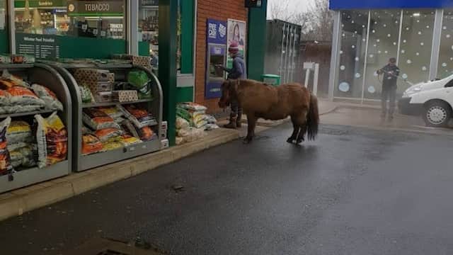 Morrisons Daily- Meadowhead - Supermarkets in greenhill
