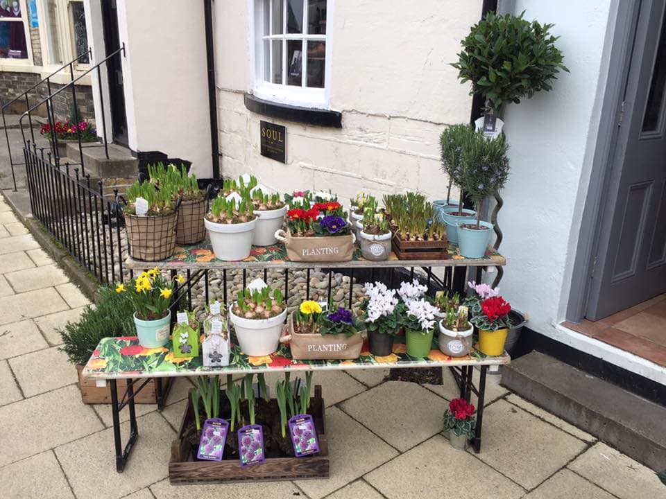 The Flower Box