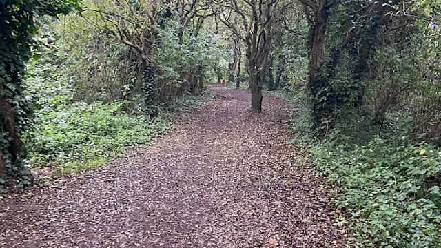 Beardmore Park - Park in marske