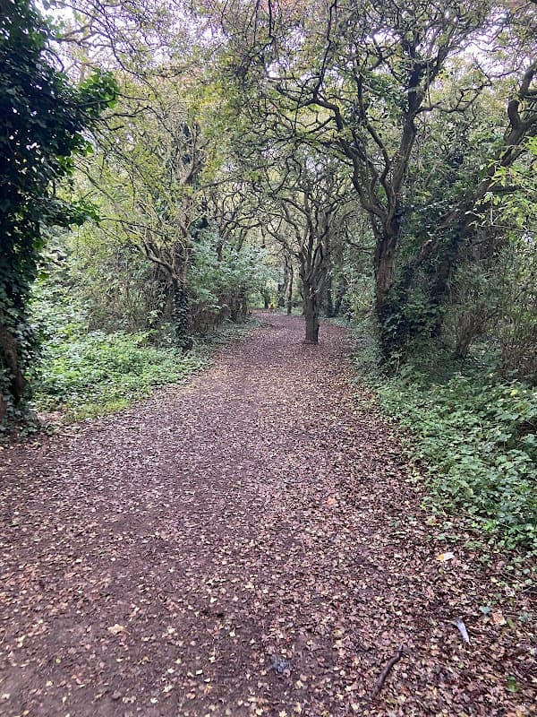 Beardmore Park