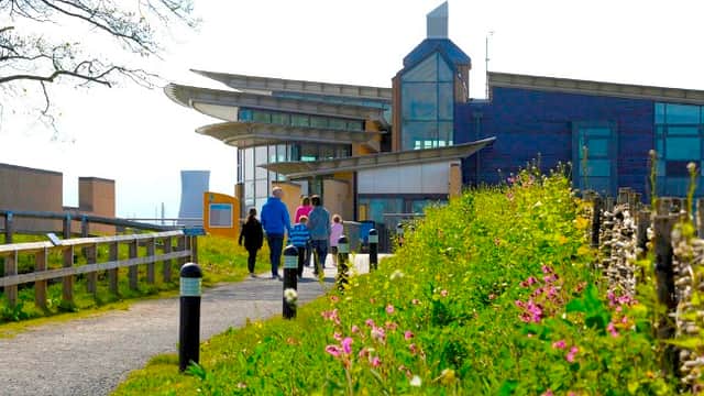 Visit RSPB Saltholme Nature Reserve - Park in middlesbrough