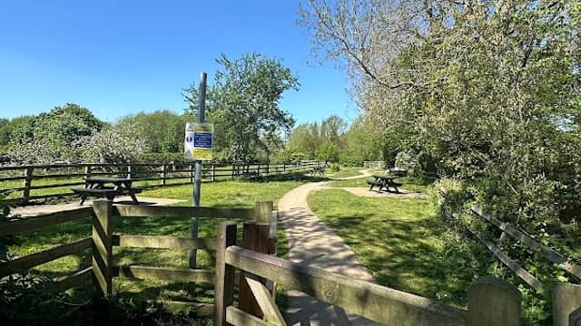A sunny picnic area with wooden benches, a winding path, and lush greenery, surrounded by trees and a blue sky.