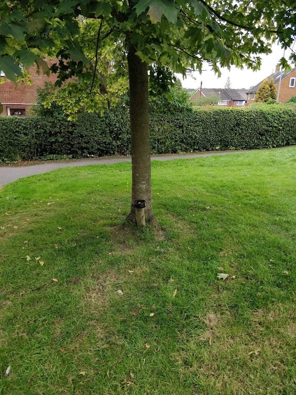 Larkhill Green