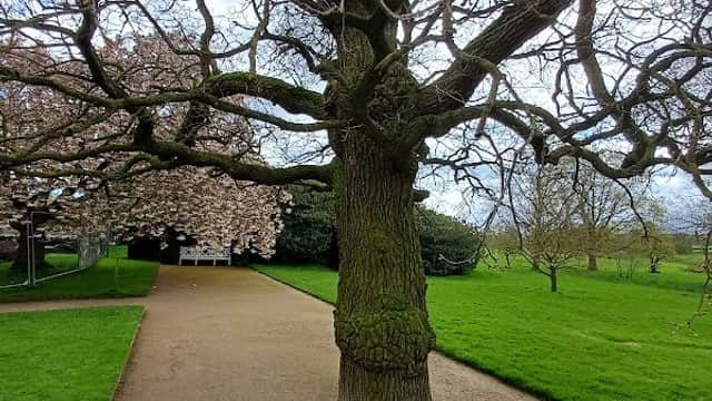 National Trust Car Park - Beningbrough