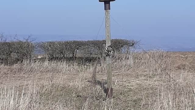 A metal beacon structure atop a grassy hill, surrounded by sparse vegetation and a clear blue sky.