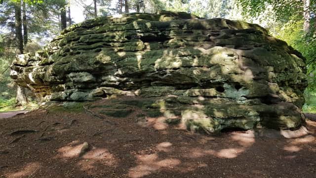 Large moss-covered rock formation surrounded by trees and dappled sunlight on a forest floor.