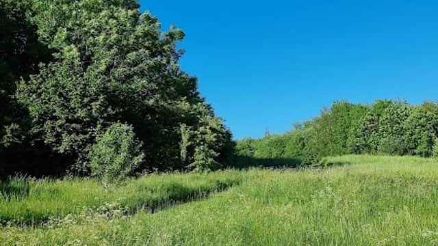 Lush green grass and trees under a clear blue sky at Shire Brook Valley Nature Reserve car park.