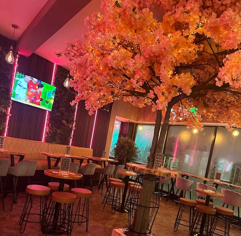 Bloom
