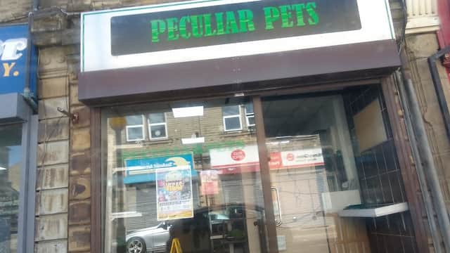Peculiar Pets - Pet Shops in batley