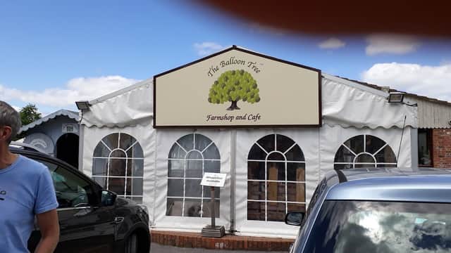 The Balloon Tree Farmshop & Cafe with a large tree sign, arched windows, and parked cars outside in Gate Helmsley.