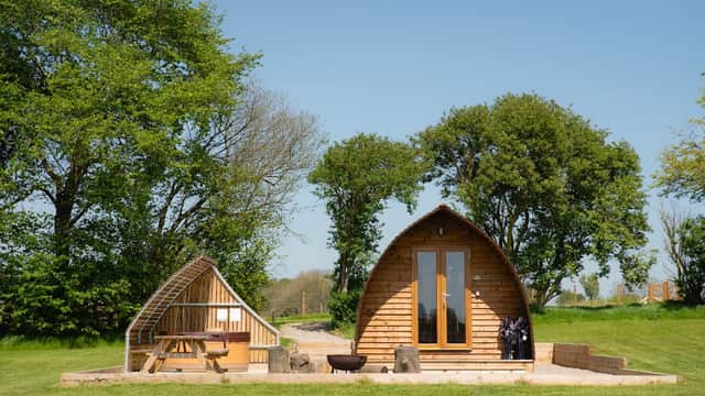 Two wooden wigwam-style cabins surrounded by green grass and trees under a clear blue sky.