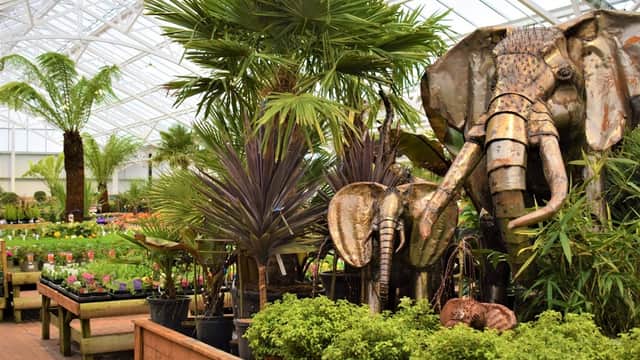 Lush greenery and tropical plants with large elephant sculptures in a bright, airy garden center.