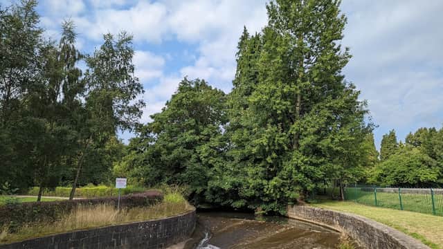 Lush greenery surrounds a narrow waterway, with a stone bank and a sign visible nearby under a partly cloudy sky.