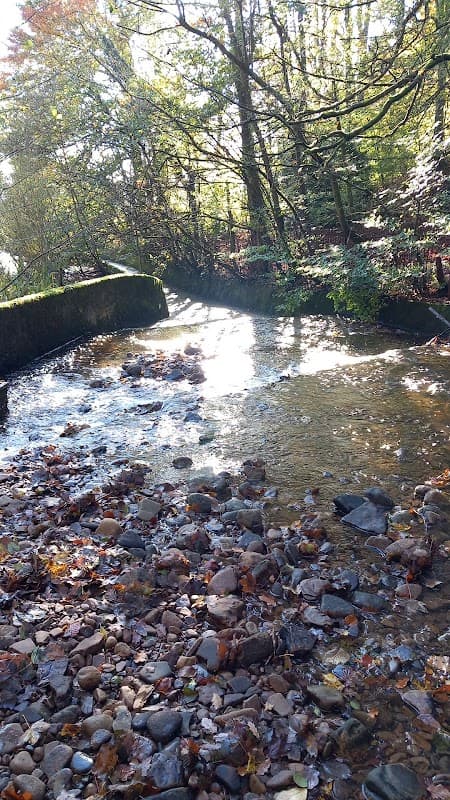 Crag Hebble Dam