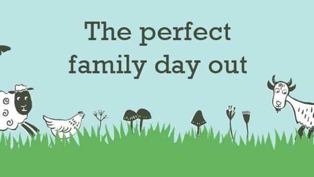 Beetle Bank Open Farm - Farm Shop in york