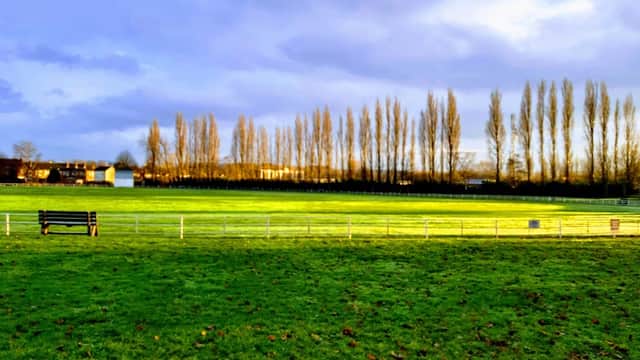 Lush green field with tall trees lining the background under a cloudy sky, benches visible in the foreground.