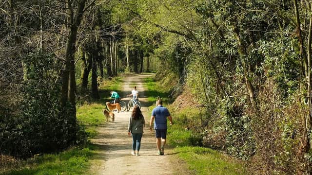 Couple walking along a forest path, with a dog and a stroller, surrounded by lush greenery in Yorkshire.