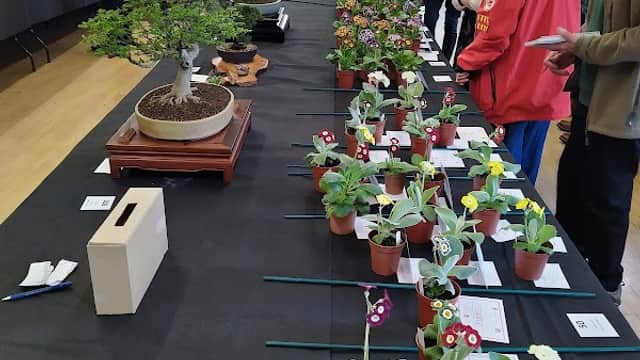Indoor event at Wigginton Recreation Hall featuring attendees admiring potted plants and bonsai trees on display tables.