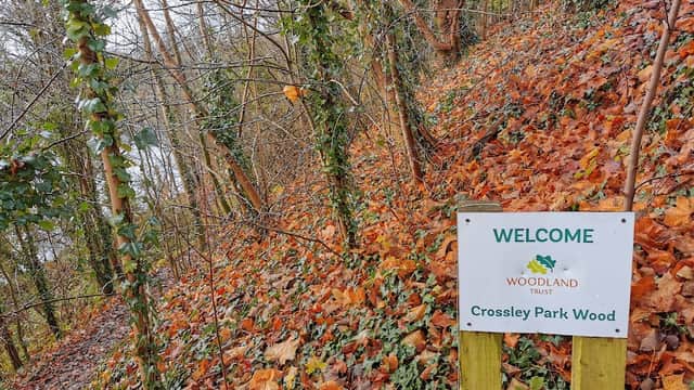 Crossley Park Wood - Park in wetherby