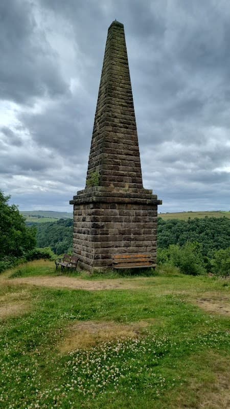Needle