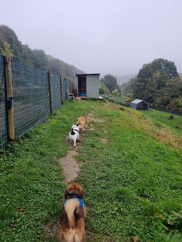 Brighouse Dog Field