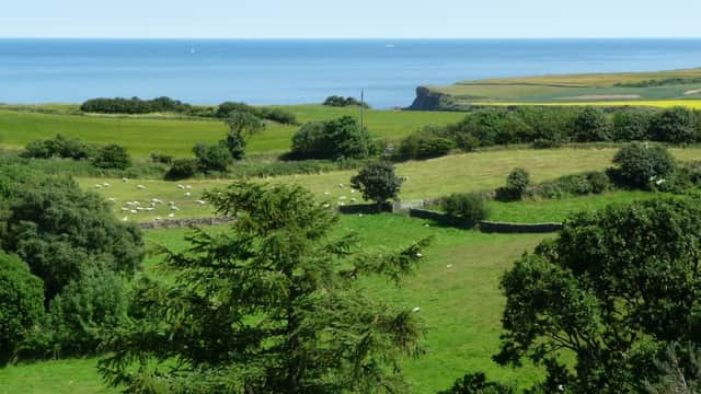 Accommodation at Little Pastures in cloughton