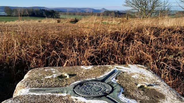 Errington Woods Trig point - Historic Site in marske