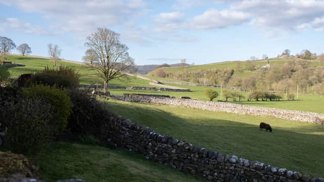 Lush green fields and dry stone walls under a blue sky with scattered clouds, featuring a grazing horse in the foreground.
