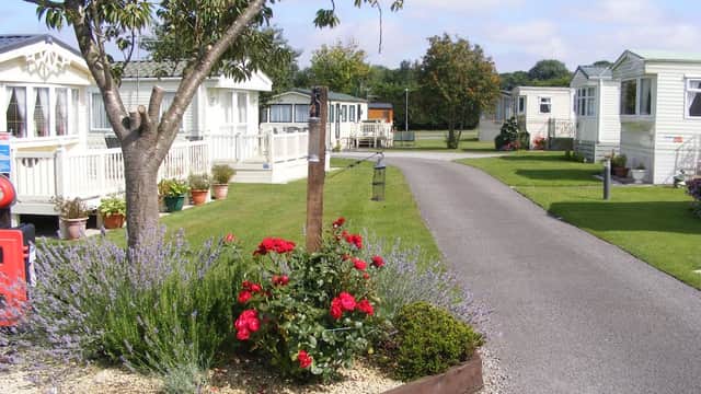 Campsite pathway lined with holiday homes, blooming flowers, and greenery under a blue sky in Eryholme, Yorkshire.