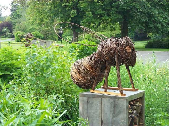 Dragon Willow