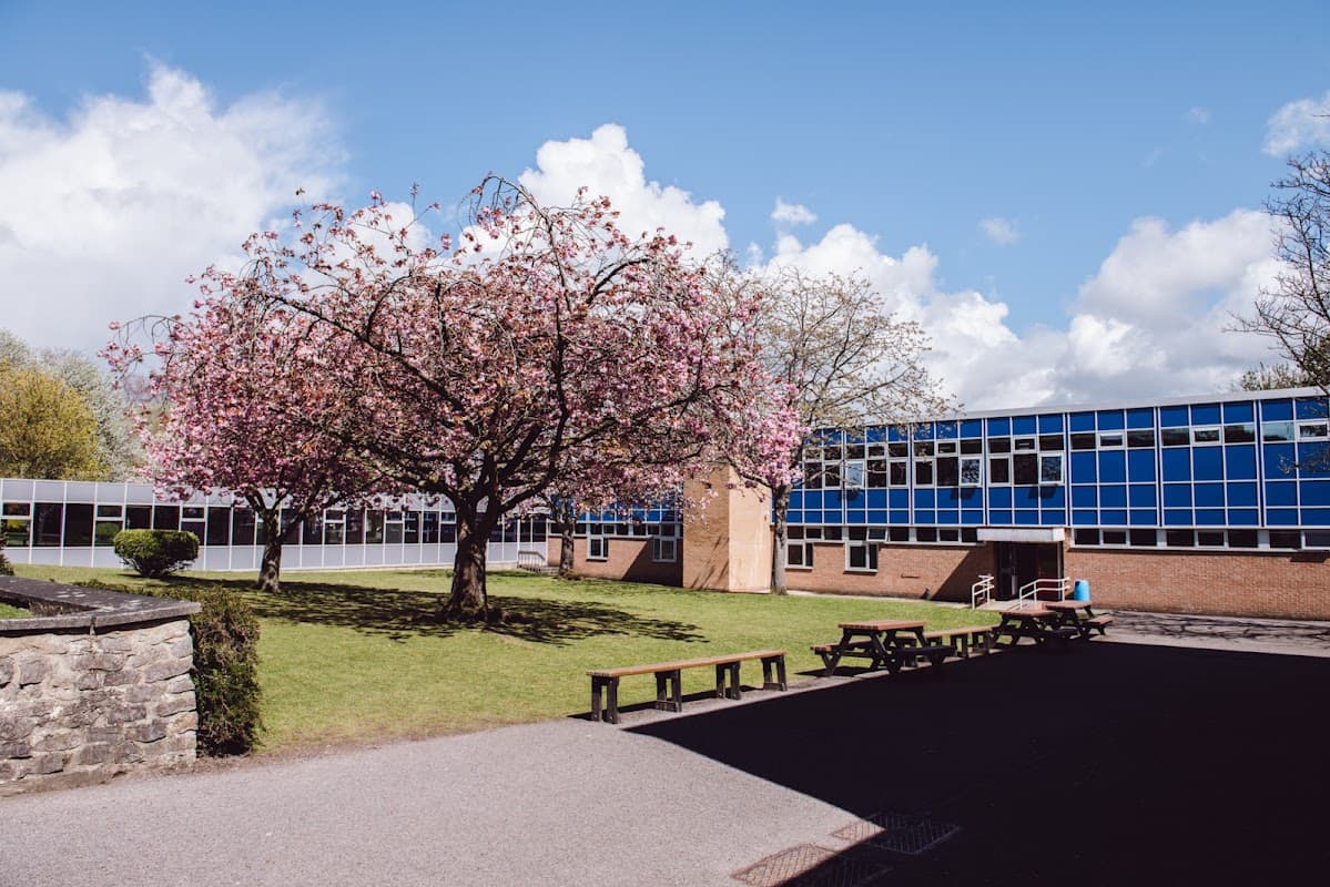 Risedale School