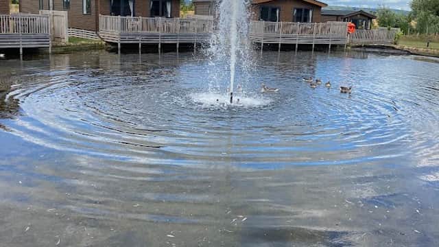 Lodges by a serene pond with a fountain, surrounded by ducks and a blue sky with fluffy clouds.