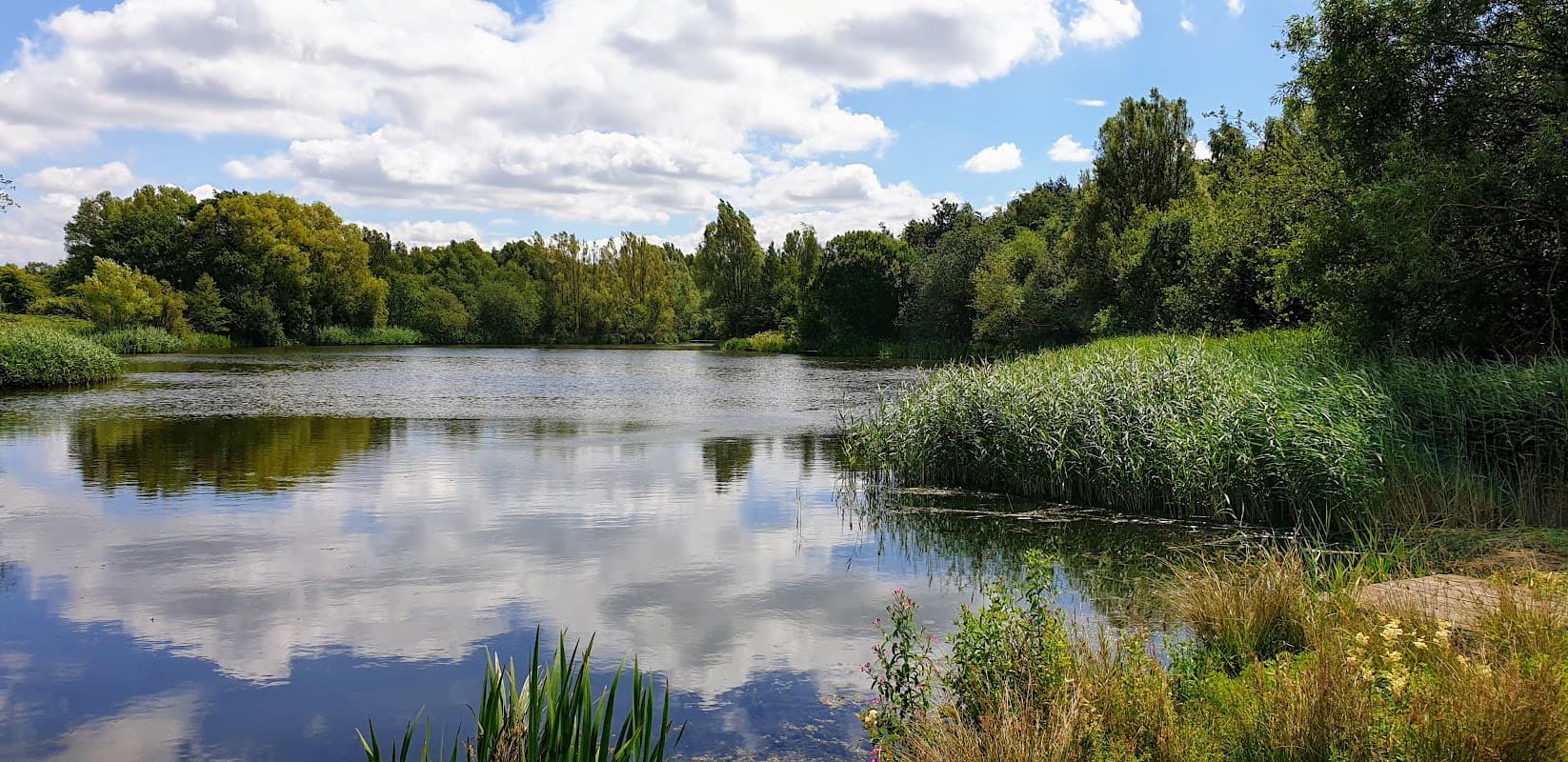 Walton Country Park