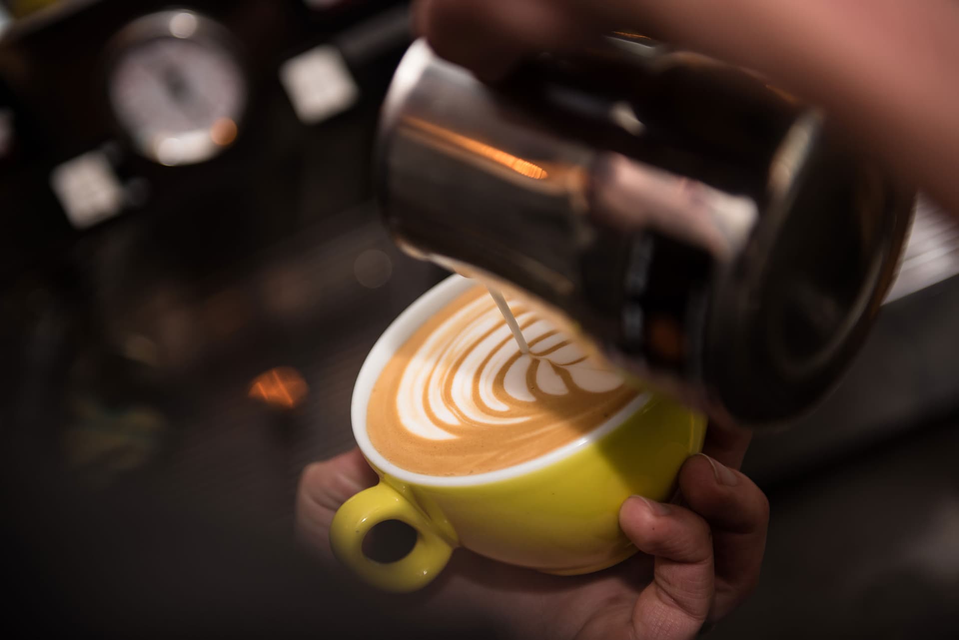 Starling Independant Beer & Coffee House