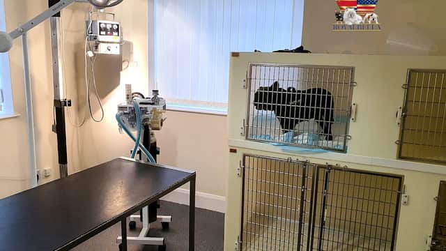 Archway Veterinary Practice - Vets in brough