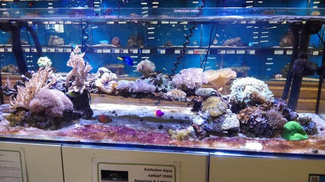 Maidenhead Aquatics Stokesley - Pet Shops in stokesley