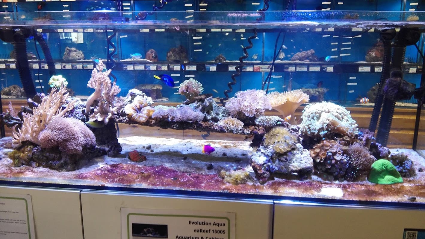 Maidenhead Aquatics Stokesley