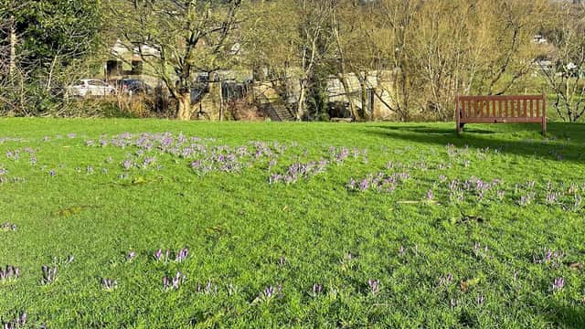 Ilkley South Bank - Park in ilkley