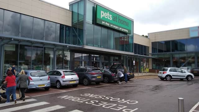 Pets at Home store exterior with shoppers, cars in parking lot, and a pedestrian crossing sign in Sheffield, Yorkshire.
