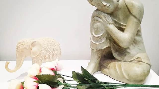 Tree of life Physiotherapy & Holistic Therapy - Sports Injury Clinics in brighouse