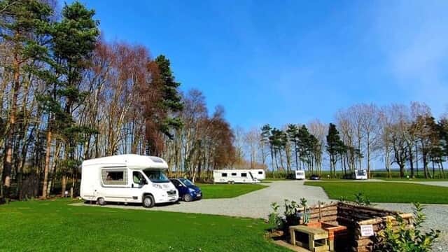 Campsite with caravans and motorhomes, surrounded by trees and a clear blue sky in Great Hatfield, Yorkshire.