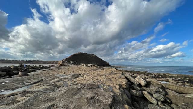Filey Brigg - Park in filey