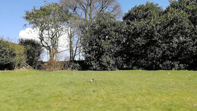 Lush green grass with scattered trees and shrubs under a clear blue sky at Russell Hall Park, Queensbury.