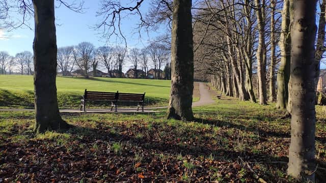 Benches under trees along a path in Farsley Recreation Ground, with a grassy area and houses in the background.