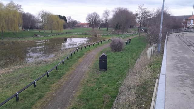Selby Wildlife Pond - Nature Reserves in selby